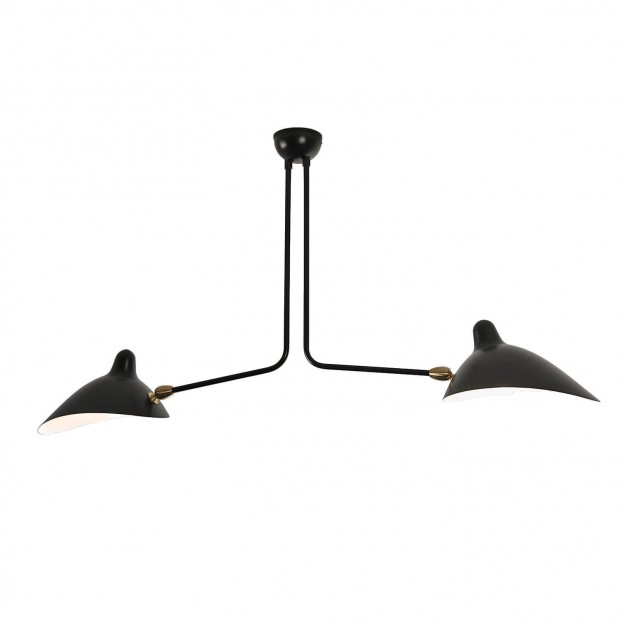 Ceiling Light with 2 fixed arms