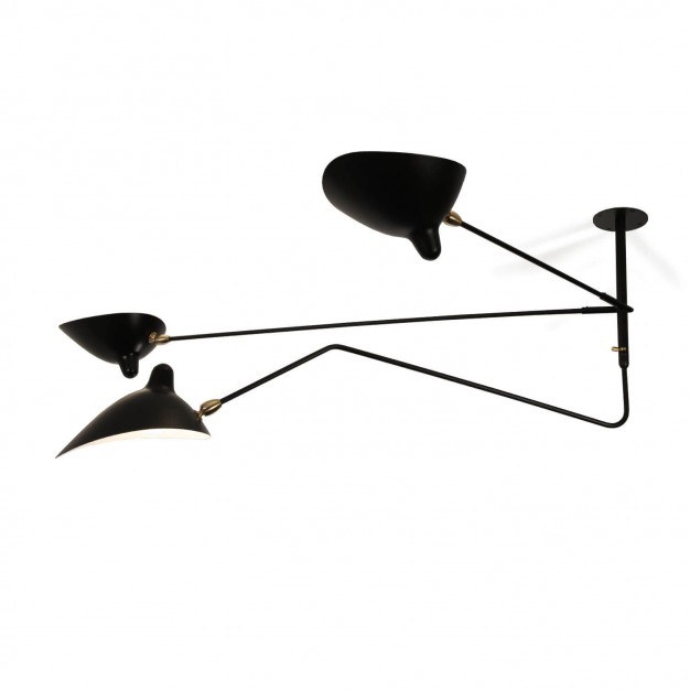 Ceiling Light with 2 still arm and 1 curved