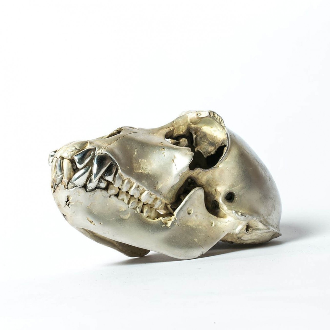 Acid Silver & Polished Sterling Silver Monkey Skull