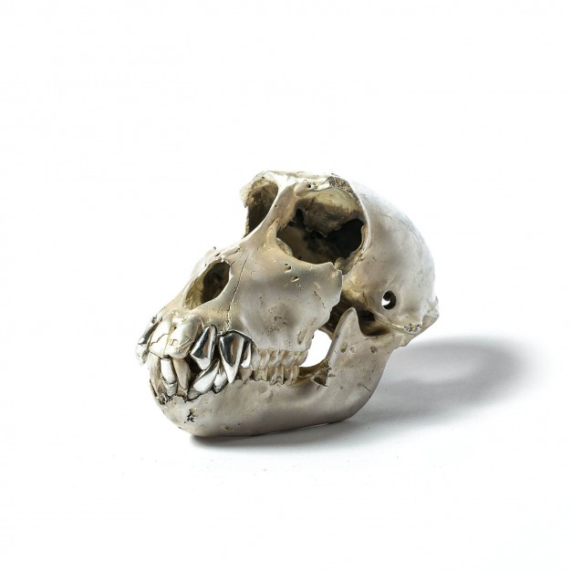 Acid Silver & Polished Sterling Silver Monkey Skull