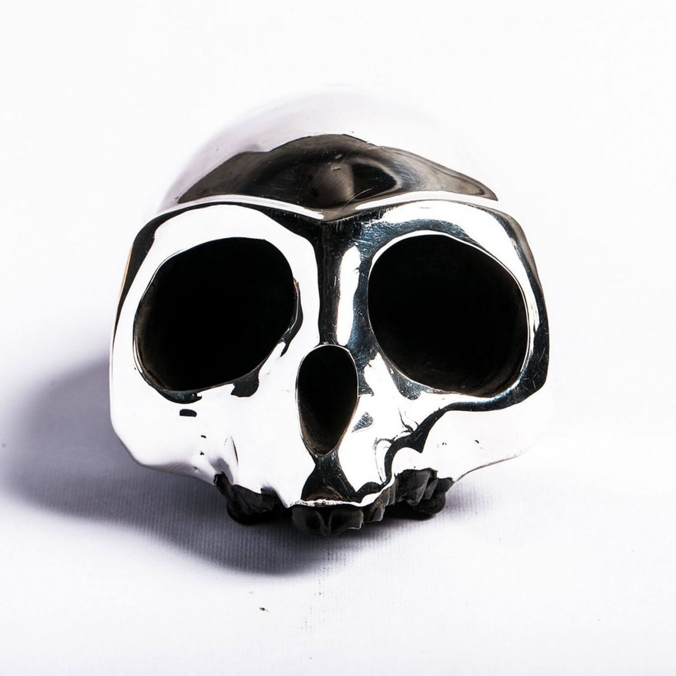 Resin Monkey Skull with Silver Mask