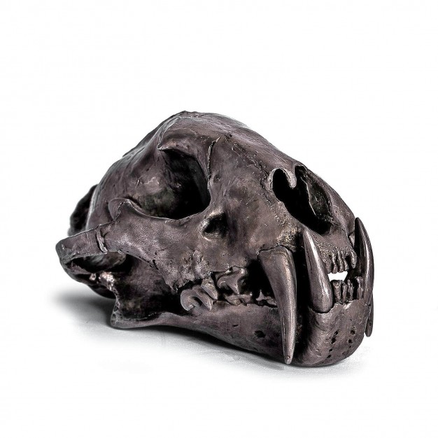 Acid Silver Leopard Skull
