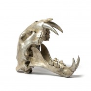 Acid Silver Leopard Skull - Var Held Aggression