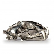Chromed Brass & Bone Leopard Skull