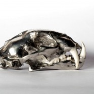 Chromed Brass & Bone Leopard Skull