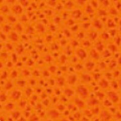 G04 orange
